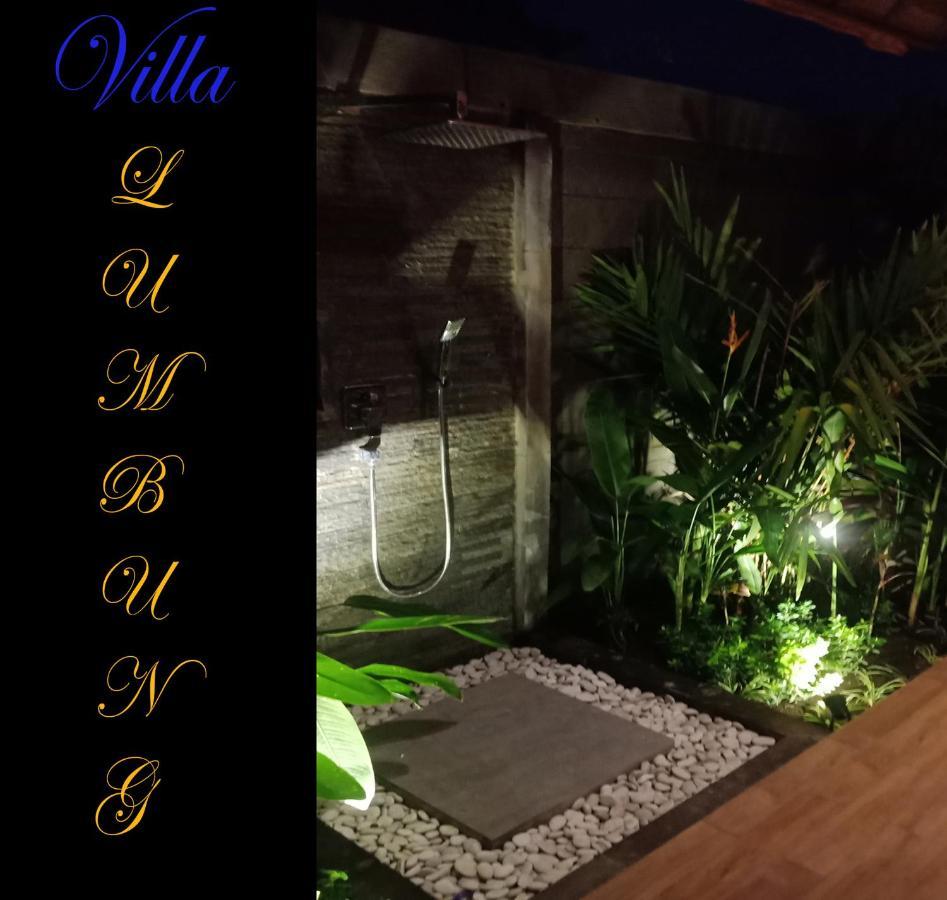 Villa Lumbung Amertha Sari 罗威那 外观 照片